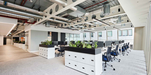 Principal Contractor